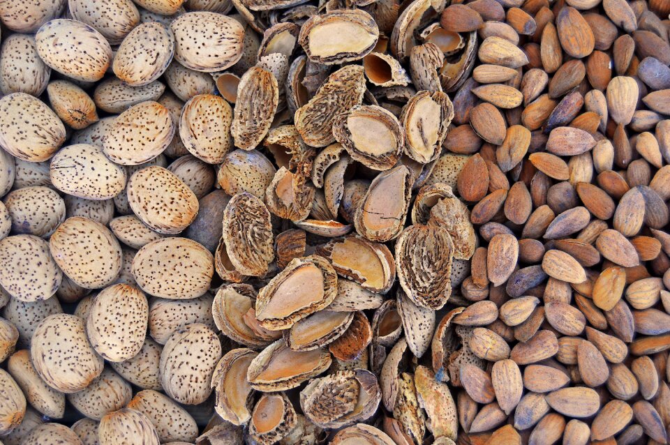 Dry dry fruit dry almonds