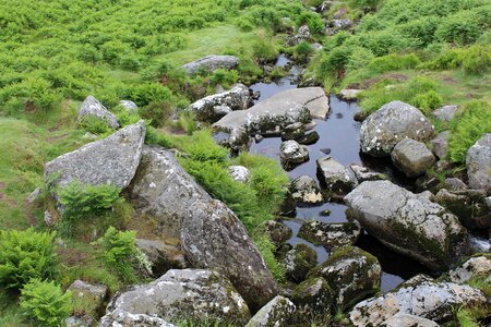 Stones meadow ireland