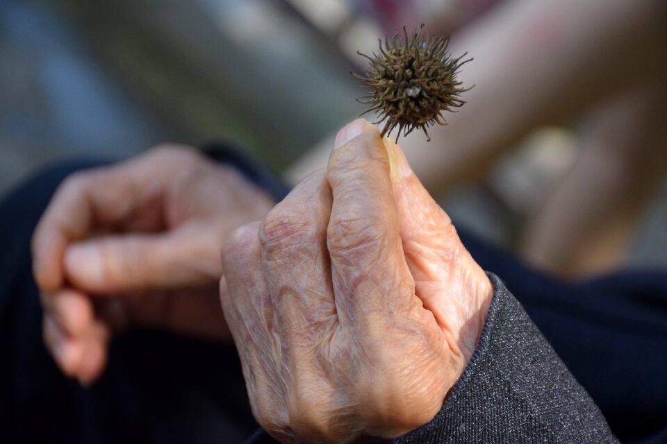 The aged hand old age