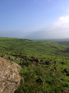 Nature scenery grass