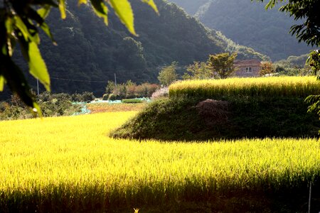 Jiri landscape ch