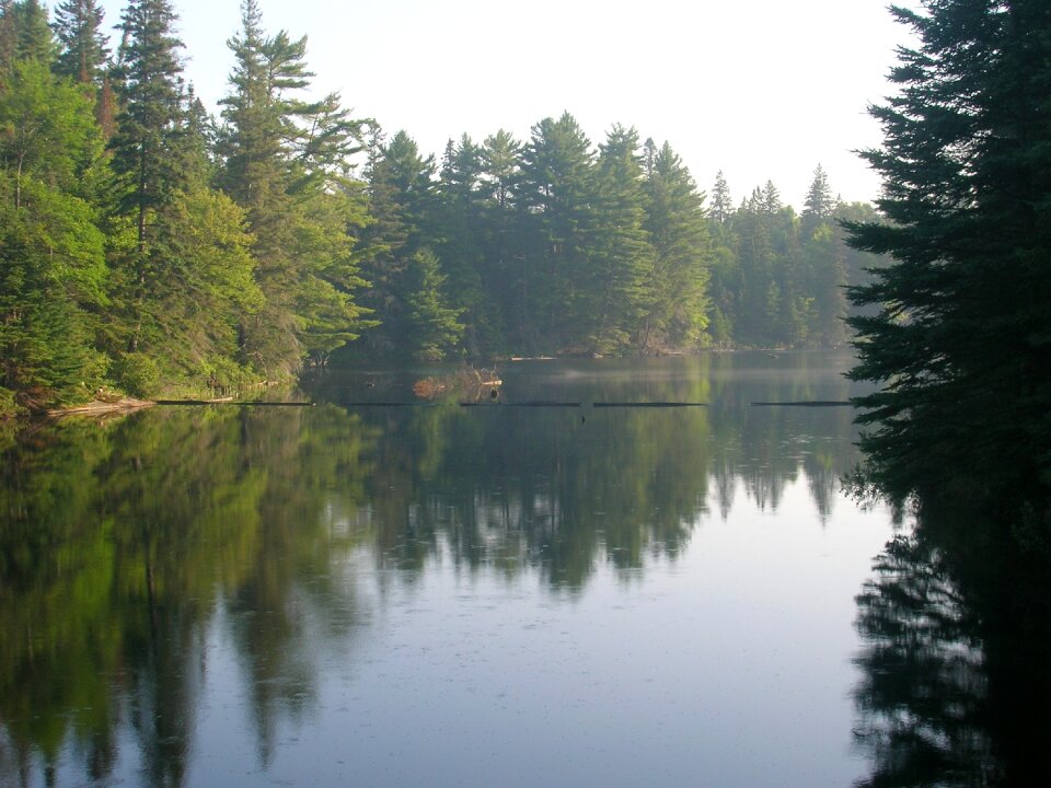 Evergreen water photo