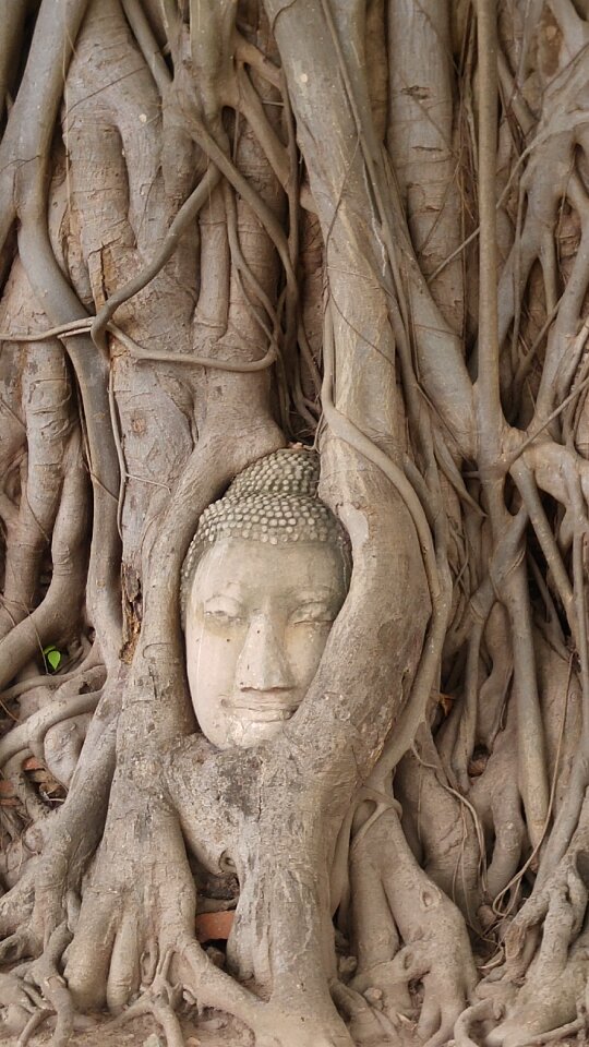 Old capital city ayutthaya