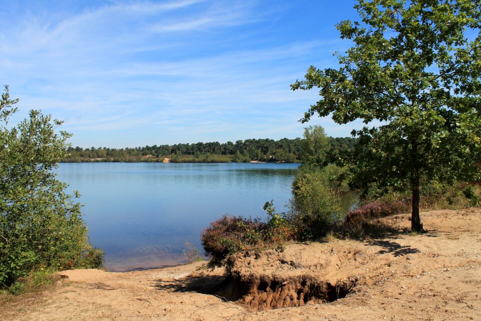 Nature reserve heathland holland