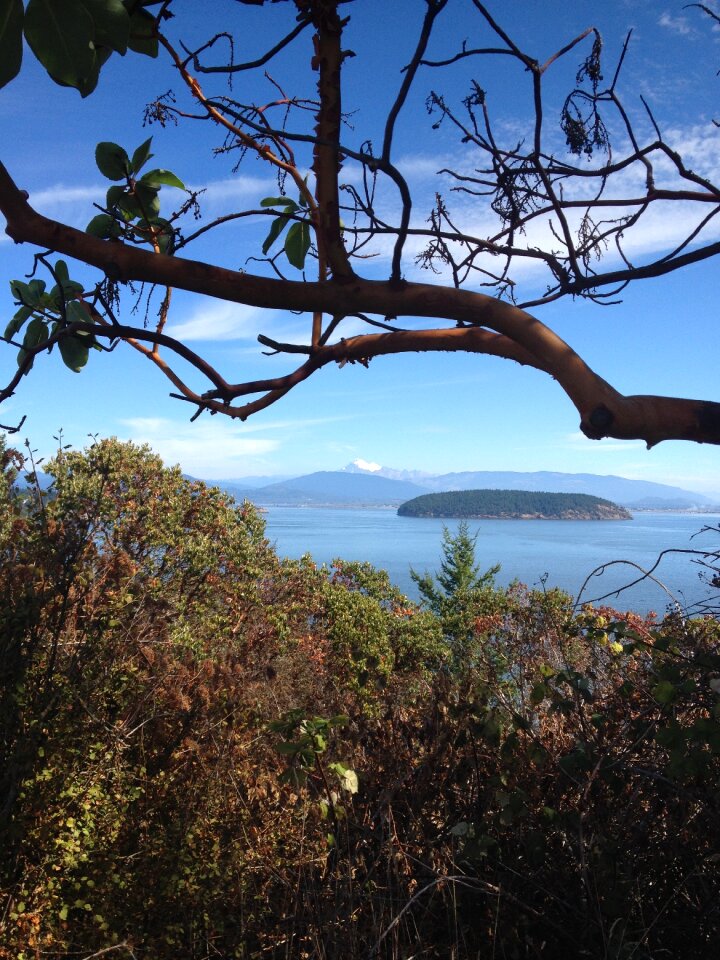 Washington hat island