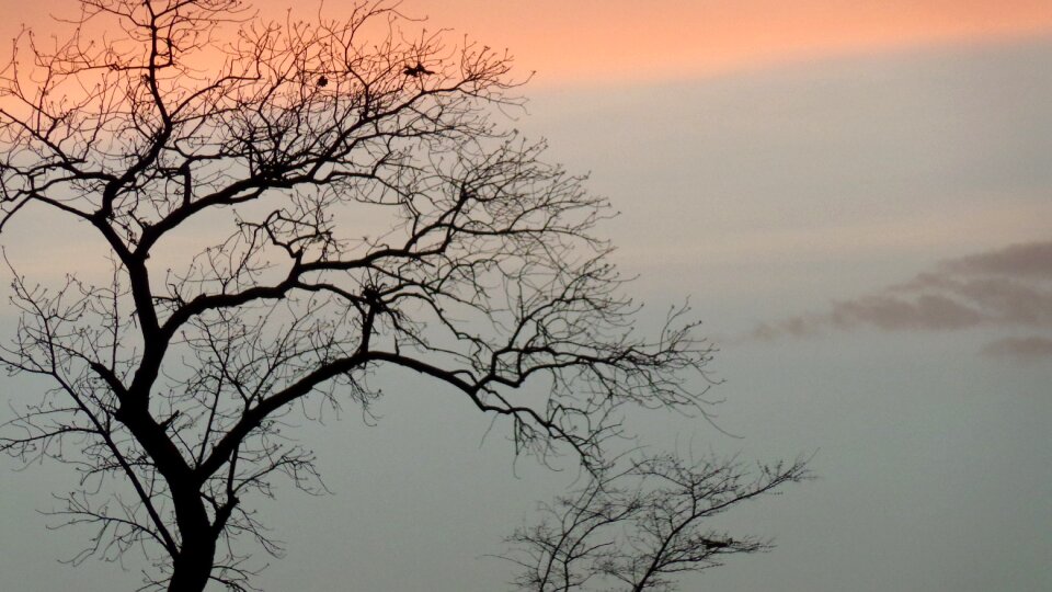 Evening sky photo