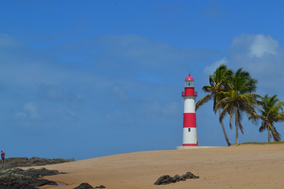 Lighthouse beach coconut trees