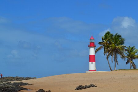 Lighthouse beach coconut trees