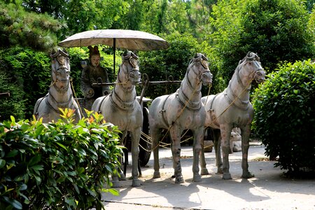 China shaanxi moxie