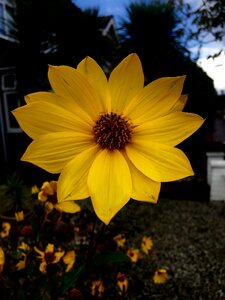 Colorful natural