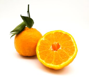 Orange oranges fruit