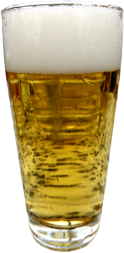 Pils food drink