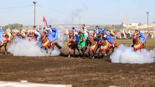 Horse horses equestrian photo
