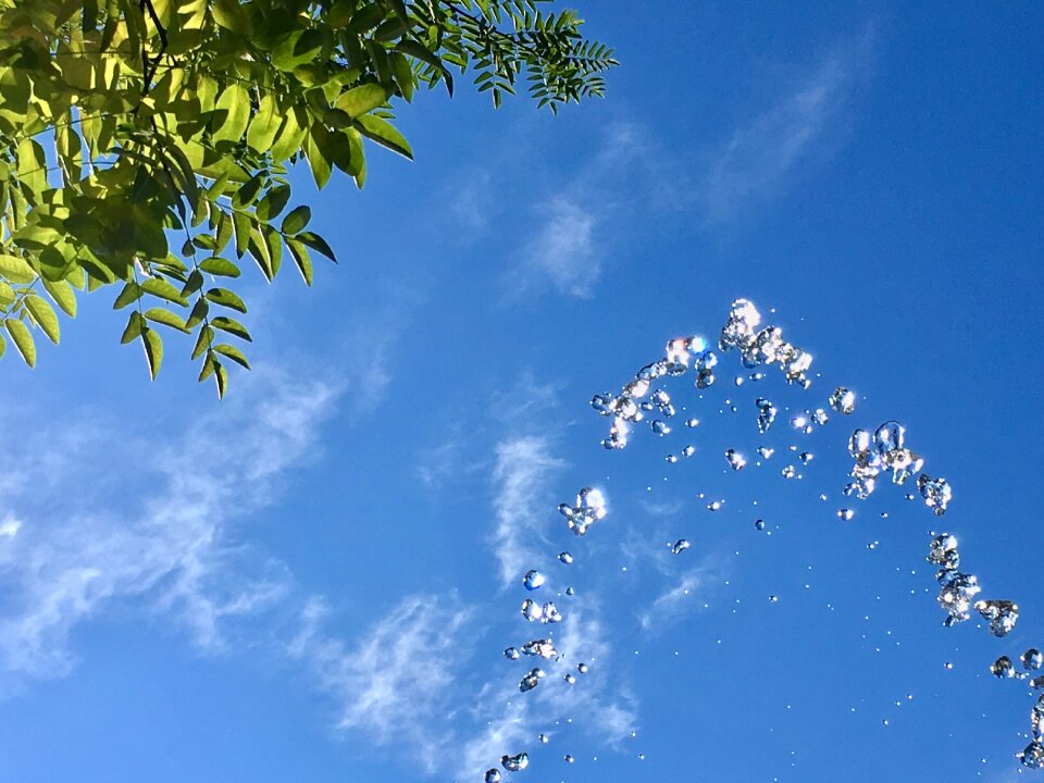 Fountain water tree