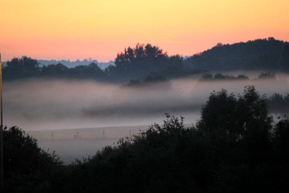 The fog morning sunrise