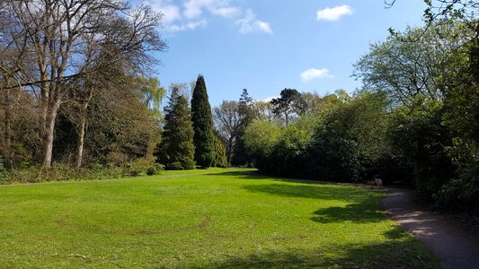 Spring green landscapes