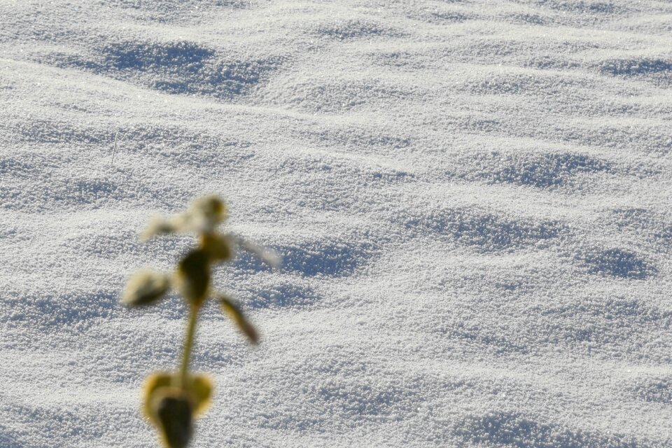 Snowy landscape winter cold