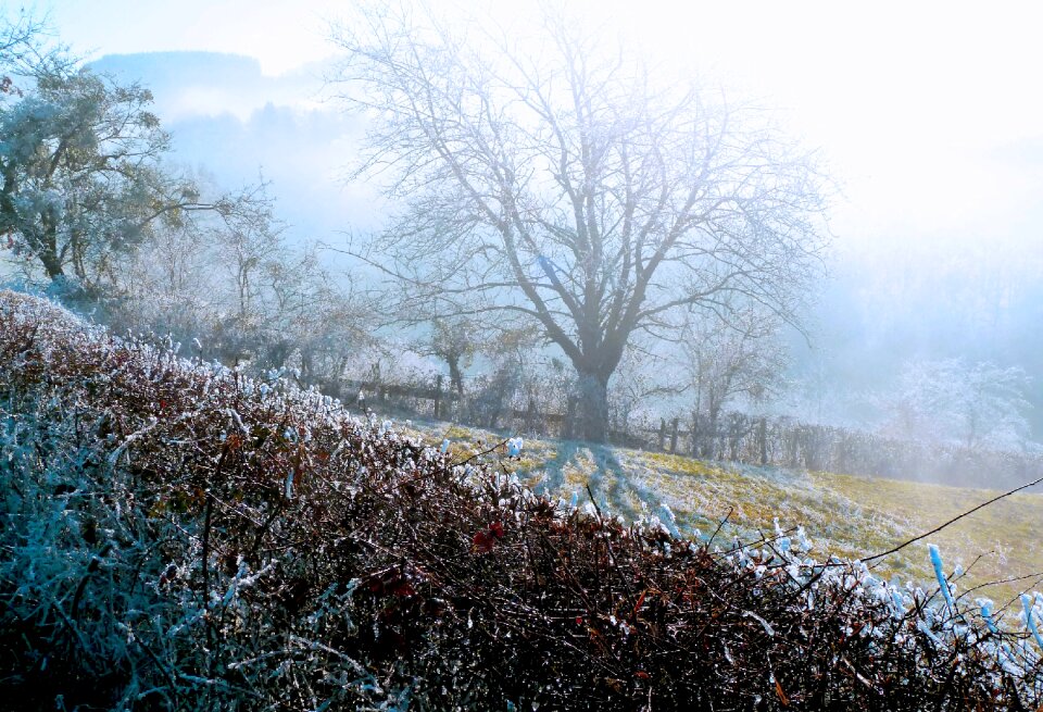 Frost landscape field photo