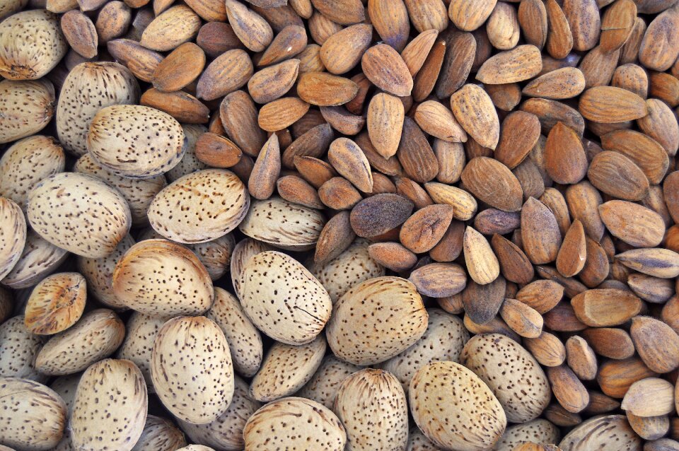 Fruit dry fruit dry
