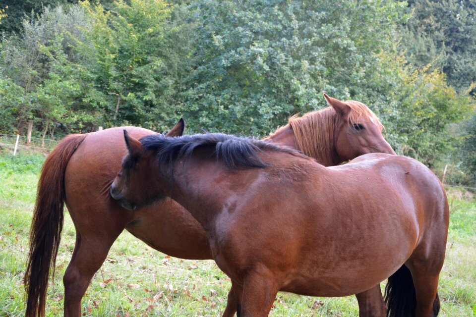 Complicity tenderness affection