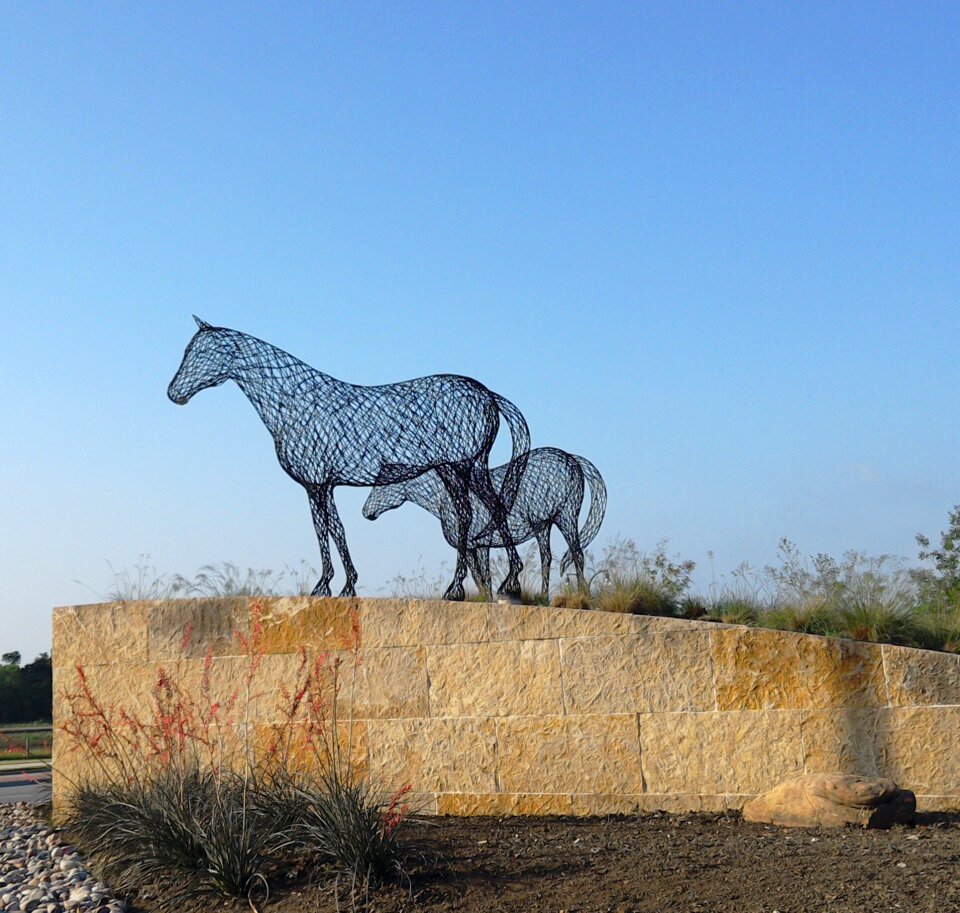 Texas horses
