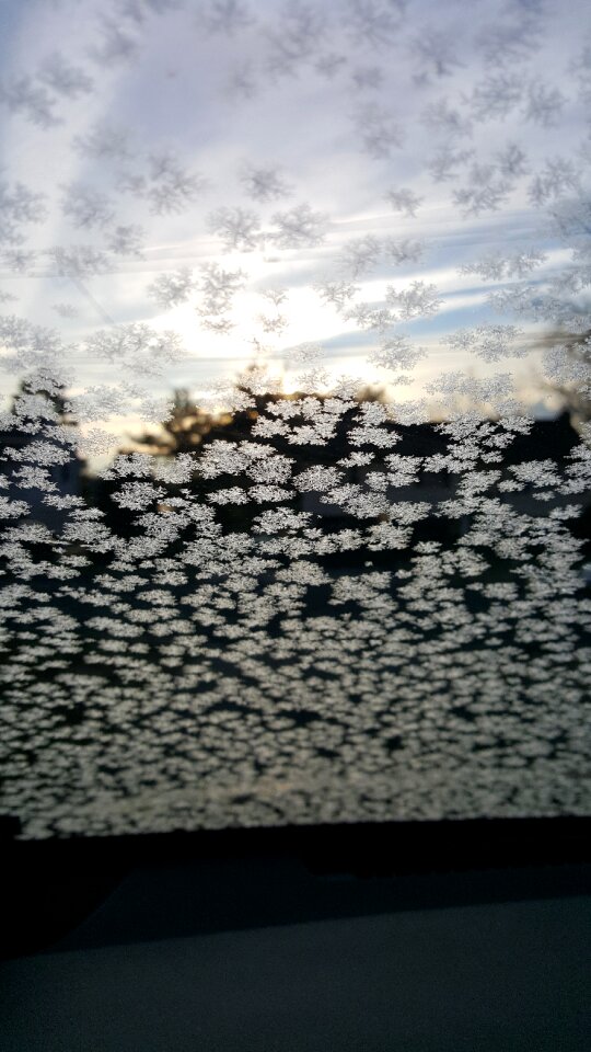 Winter cold nature