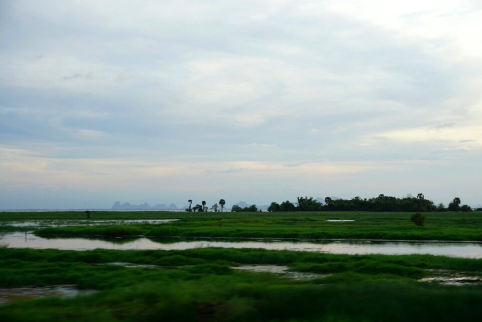 Nature view river