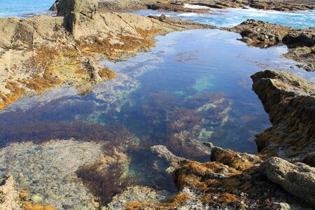 Pacific coastal shore