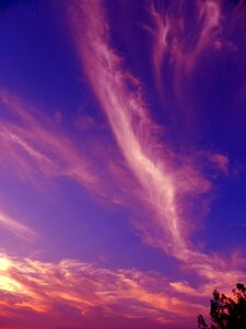 Colorful design pink