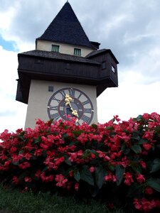 Schlossberg tower flowers photo