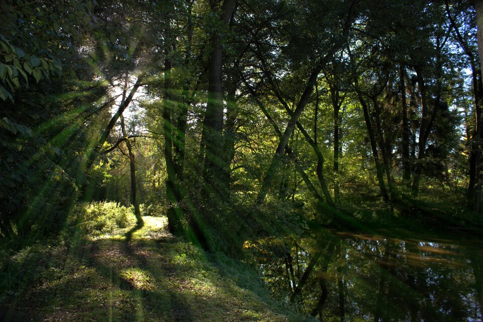Nature water pools