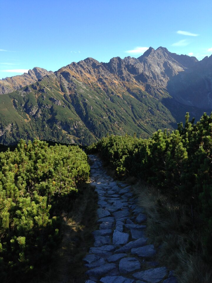 The high tatras landscape nature