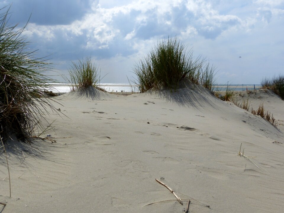 Borkum footprints north sea photo