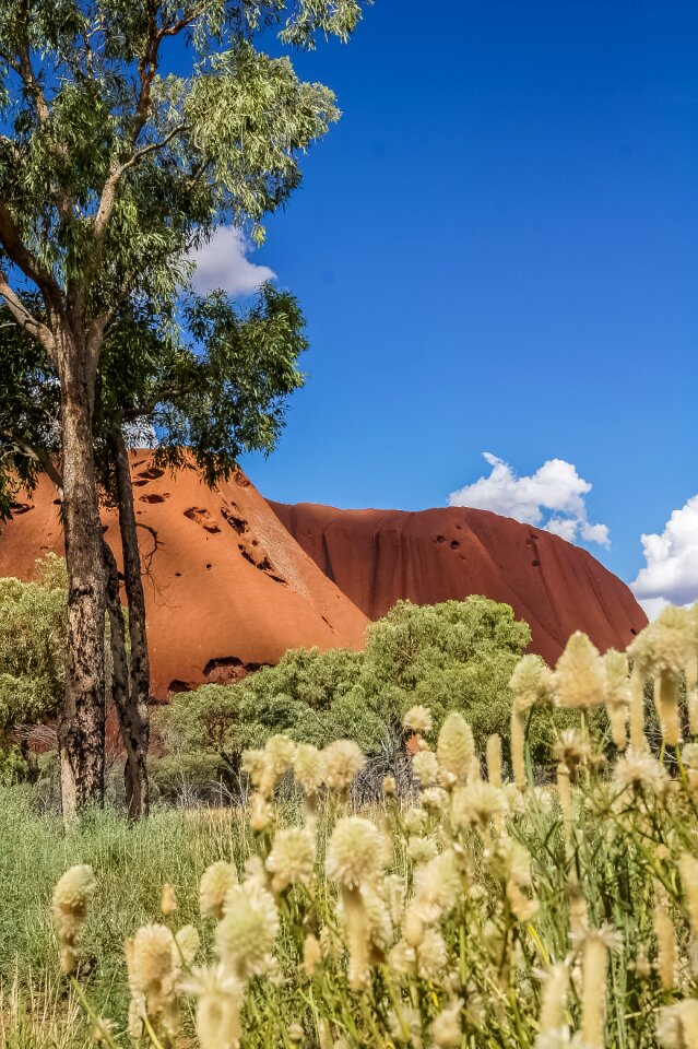 Uluru australia nature
