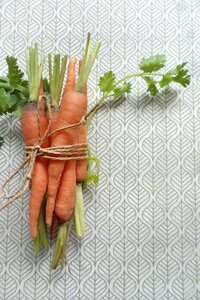 Gardening ingredient vegetarian