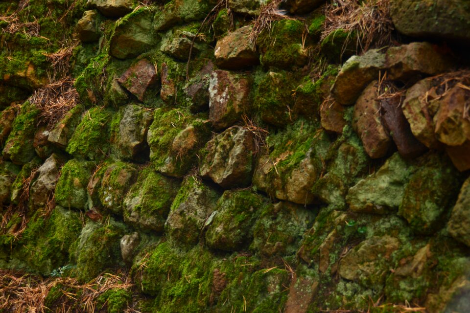 Stone wall texture stones