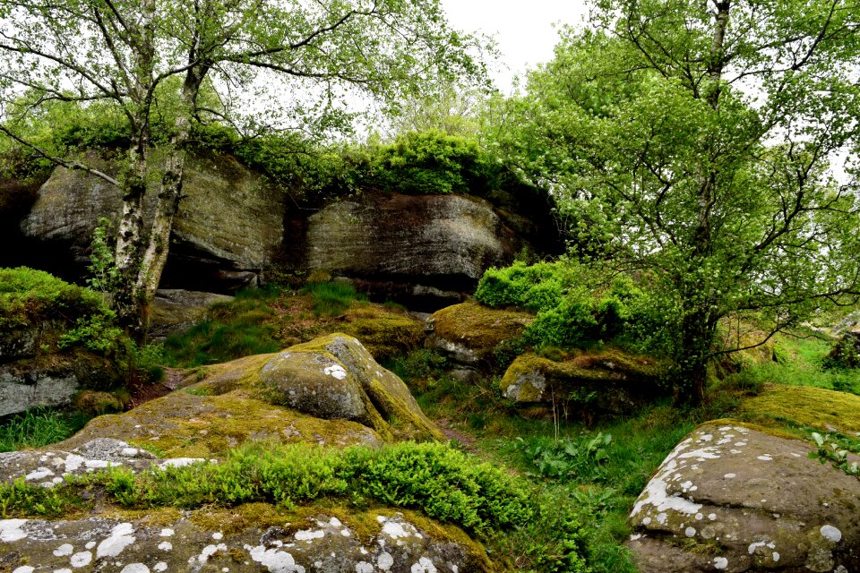 Stones landscape summer