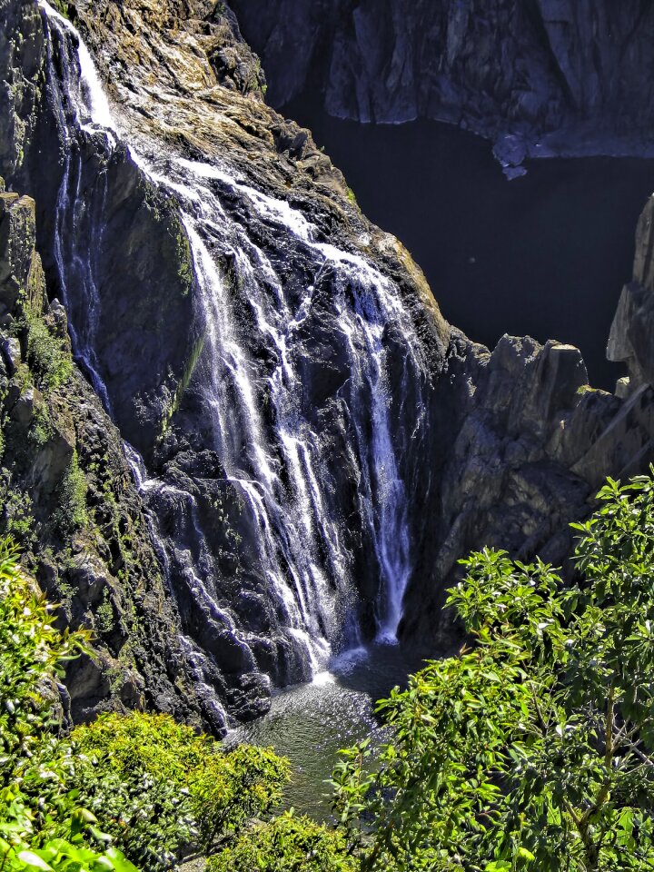 North queensland tropical rain forest
