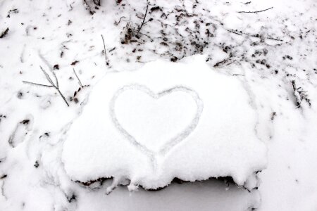 Heart love stump