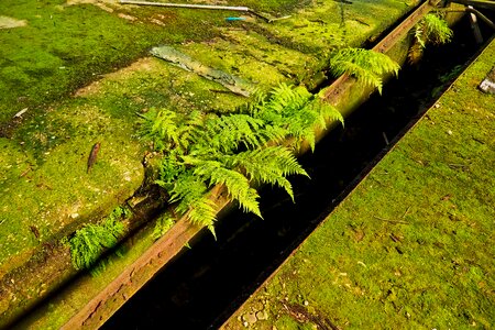 Abandoned decay lapsed photo