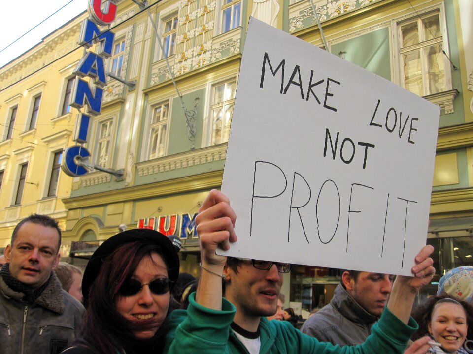 Protest shield linz