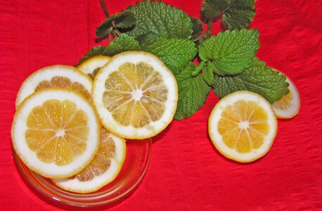 Lemon balm fruit herbs photo