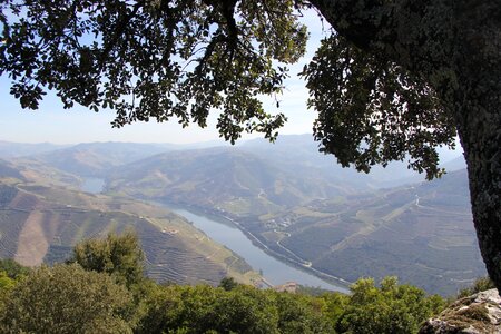 River wine valley photo
