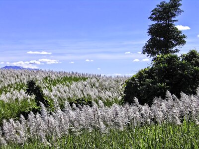 Fields tourist area