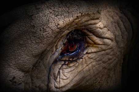 Dark watch close up