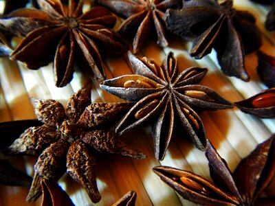 Star anise essence photo