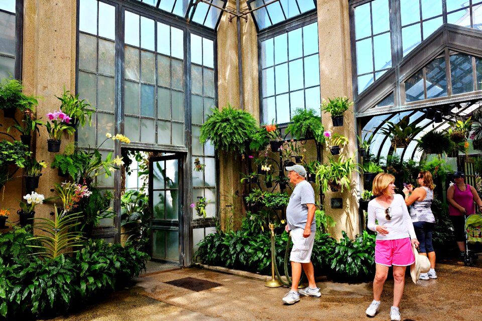 Flowers garden