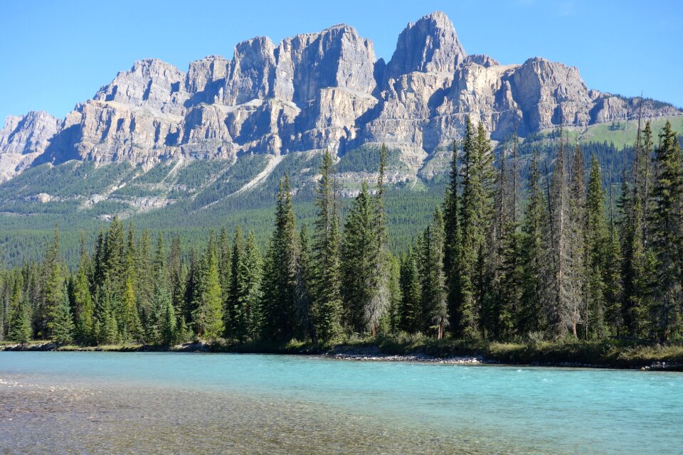 River forest landscape