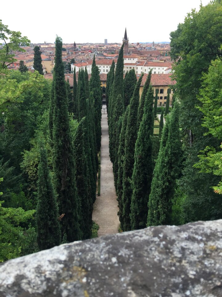 Italy terrace garden