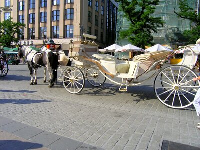 Transport krakow photo